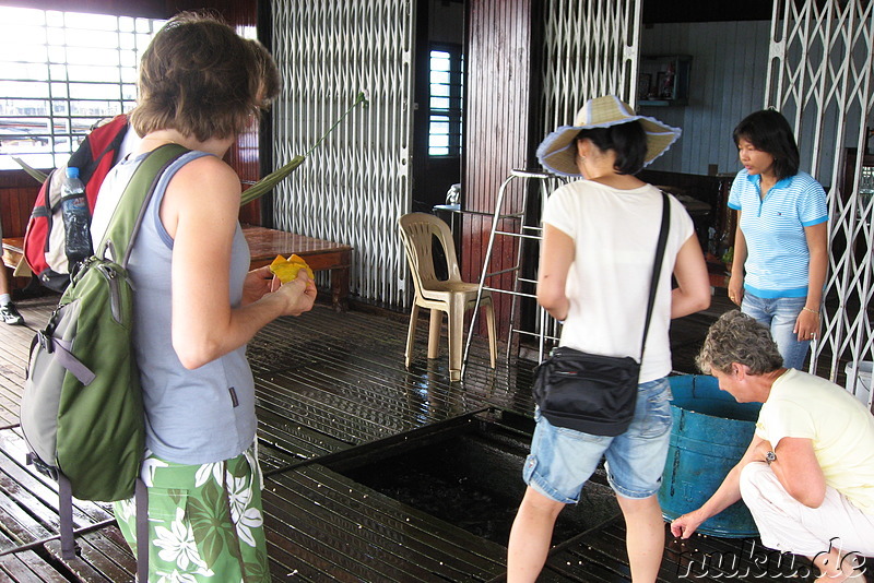 Fischfarm in Chau Doc