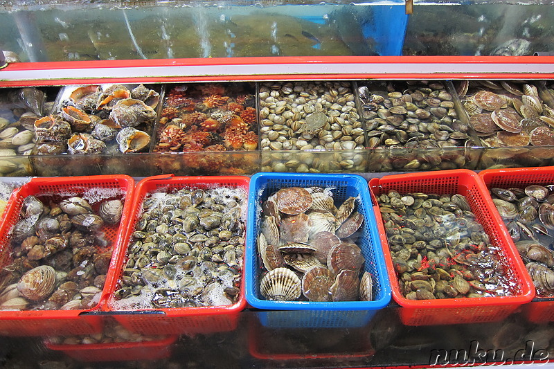 Fischmarkt in Gyeokpo, Jeollabukdo, Korea