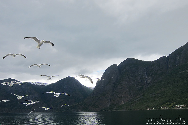 Fjordkreuzfahrt von Gudvangen nach Flam in Norwegen