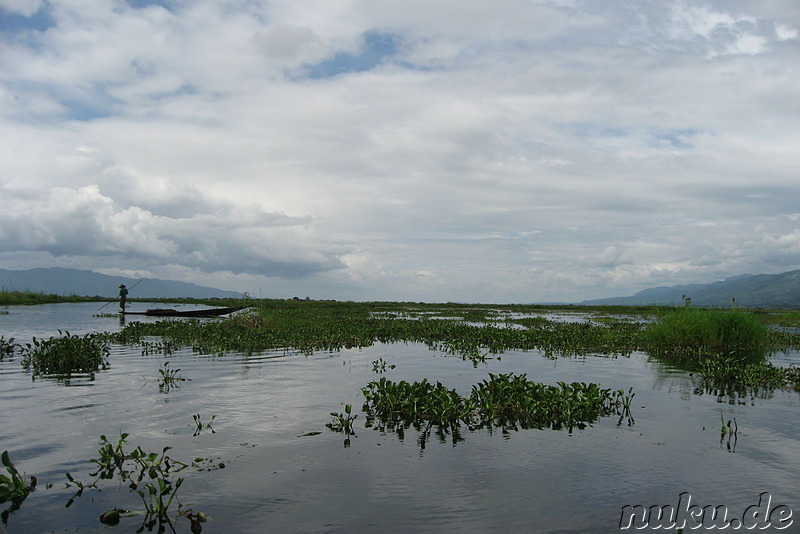 Floating Gardens auf dem Inle Lake, Myanmar