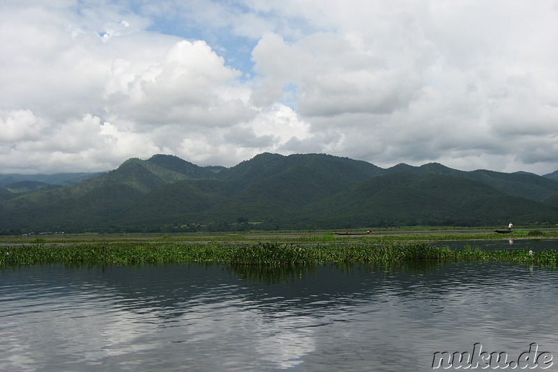 Floating Gardens auf dem Inle Lake, Myanmar