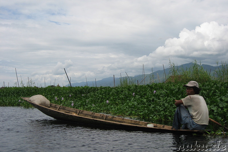 Floating Gardens auf dem Inle Lake, Myanmar