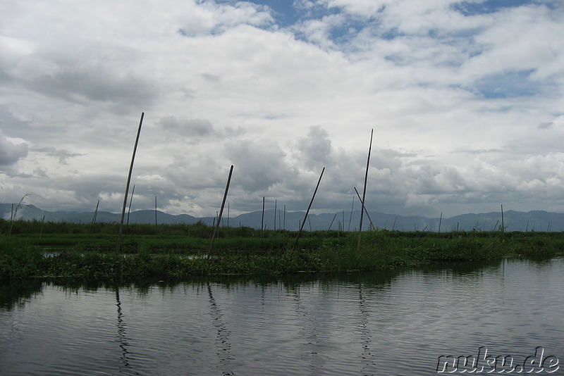 Floating Gardens auf dem Inle Lake, Myanmar