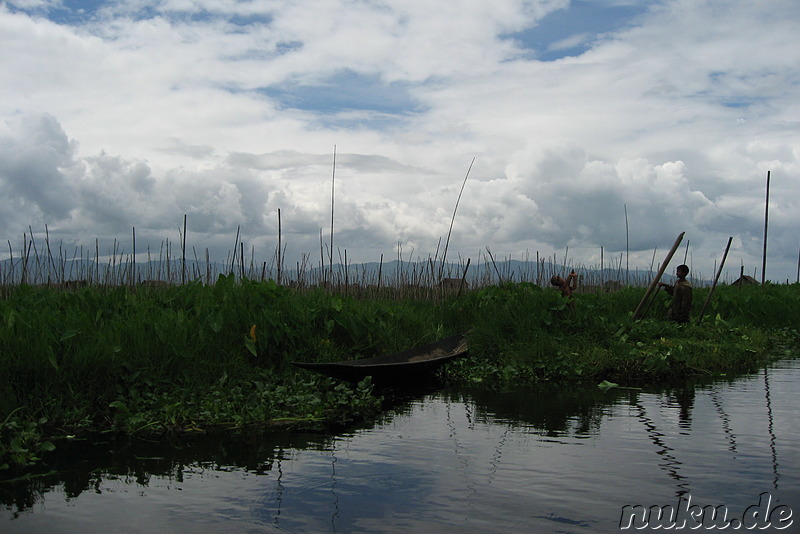 Floating Gardens auf dem Inle Lake, Myanmar