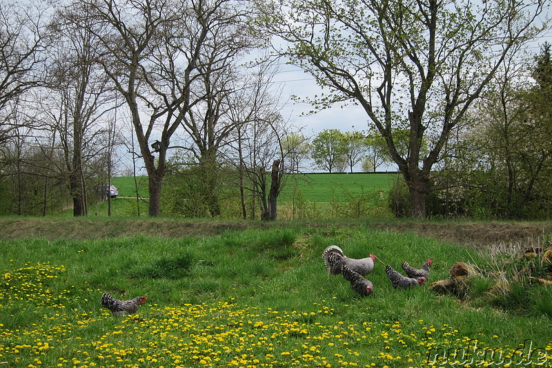 Fränkisches Freilandmuseum in Bad Windsheim, Franken, Bayern