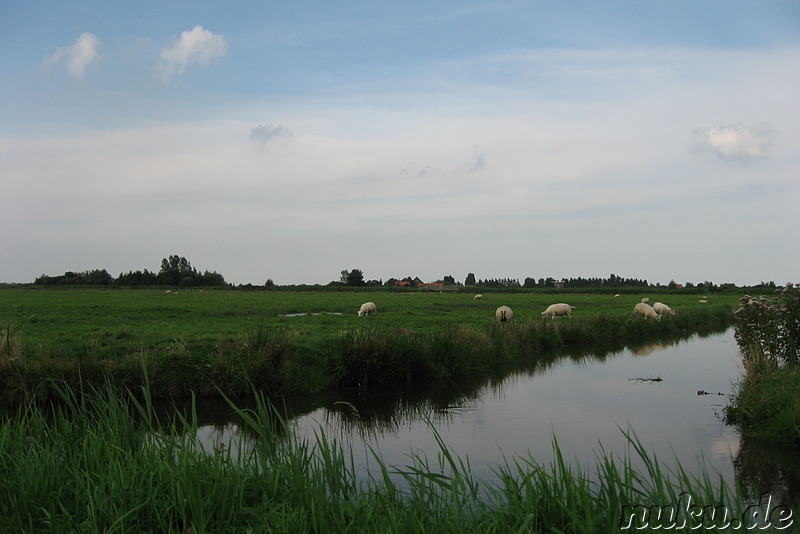 Freilichtmuseum Zaanse Schans in den Niederlanden