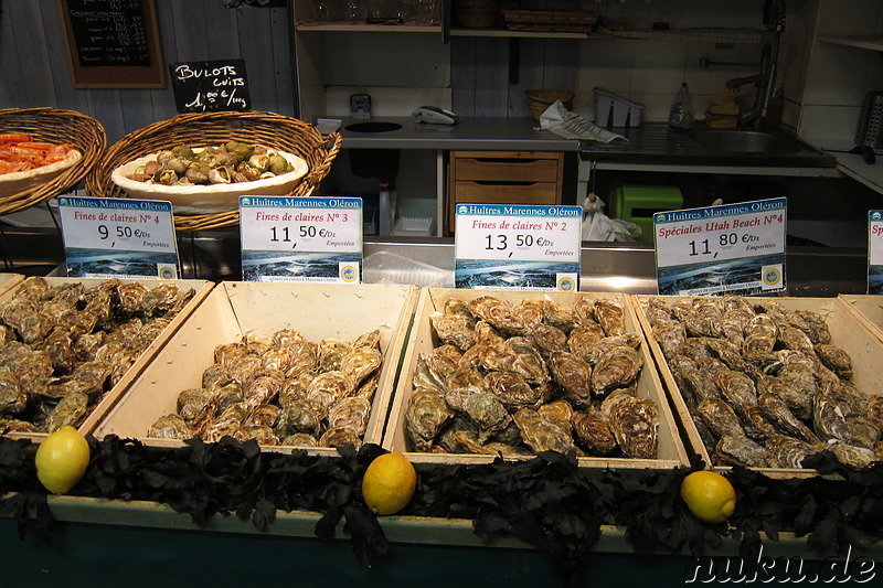 Frische Austern in der Markthalle Les Halles in Avignon, Frankreich