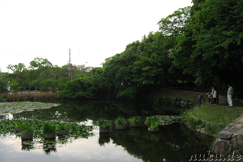 Fukuoka-jo am Maizuru-koen, Fukuoka, Japan