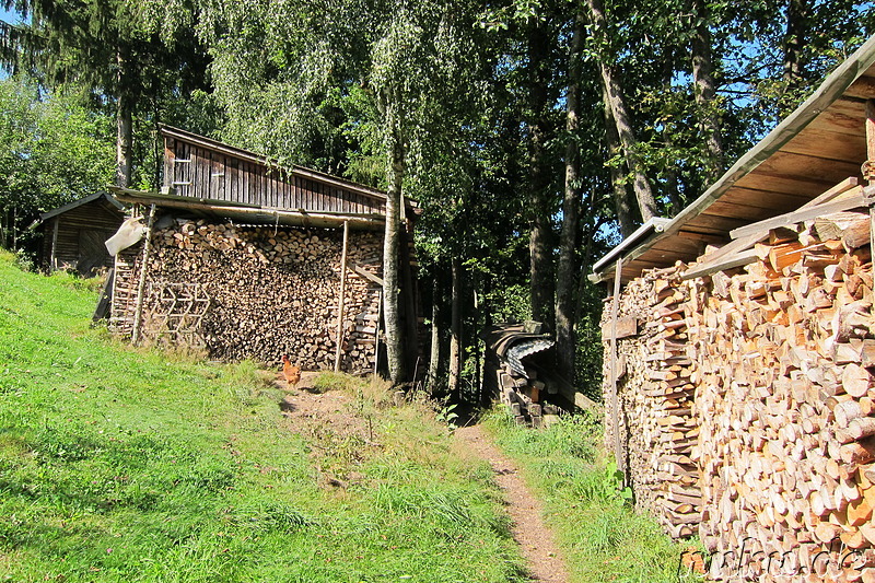 Geocaching im Liebestal bei Viechtach im Bayrischen Wald