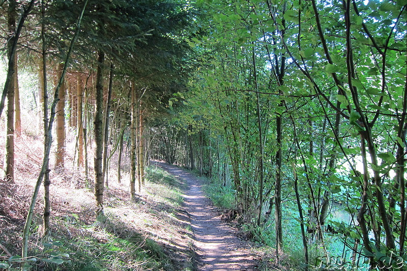 Geocaching im Liebestal bei Viechtach im Bayrischen Wald