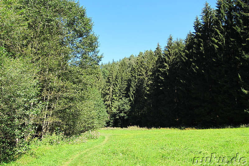 Geocaching im Liebestal bei Viechtach im Bayrischen Wald