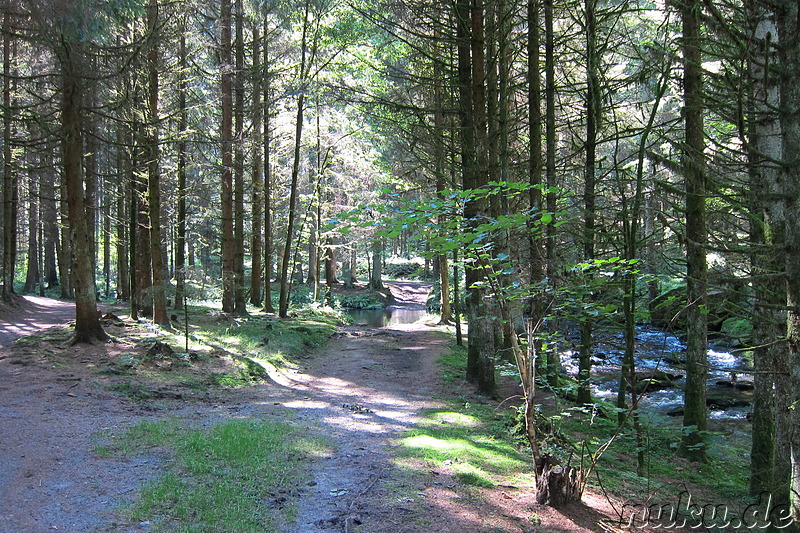 Geocaching im Liebestal bei Viechtach im Bayrischen Wald