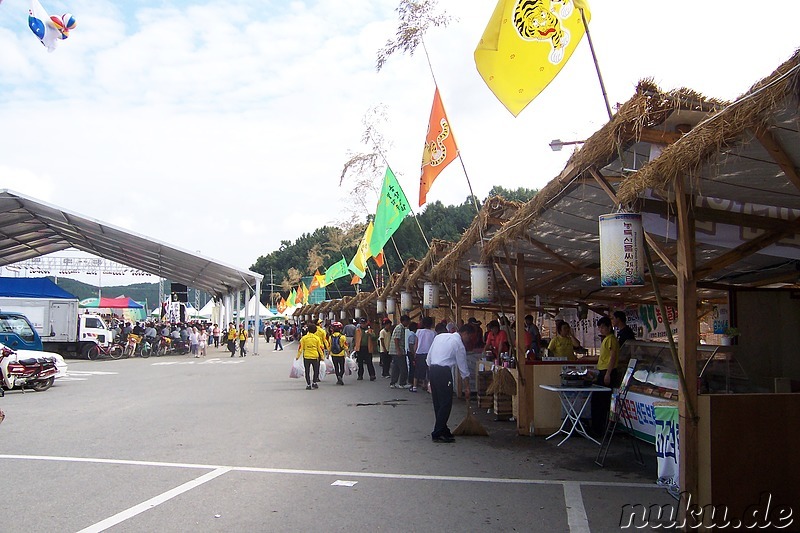 Ginsengfestival