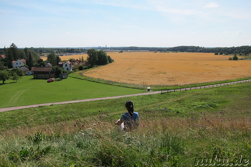 Grabhügel in Uppsala, Schweden