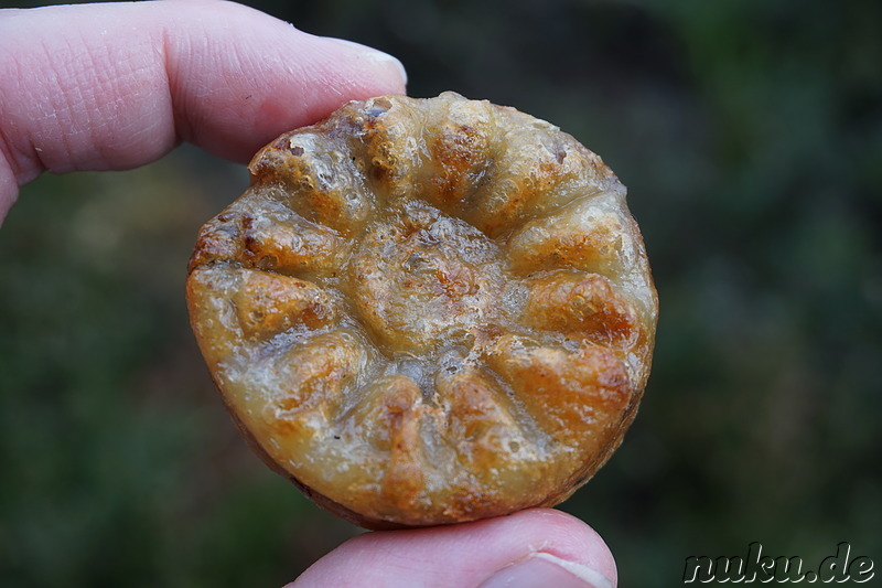 Gukhwabbang (국화빵) - Gebäck mit Rote-Bohnen-Füllung