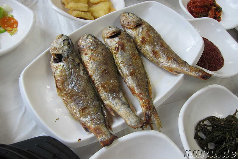 Gulbi (굴비) - Fischspezialität aus Yeonggwang