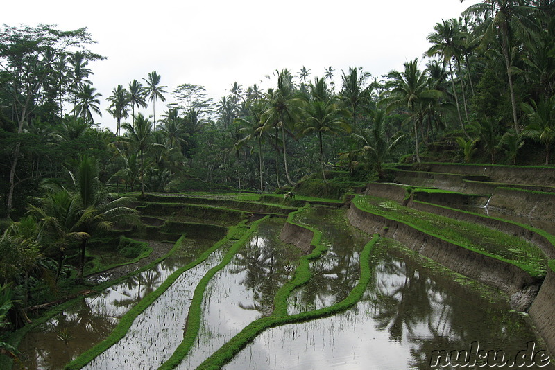 Gunung Kawi in Tampaksiring, Bali, Indonesien