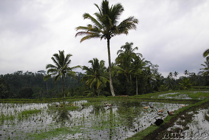 Gunung Kawi in Tampaksiring, Bali, Indonesien