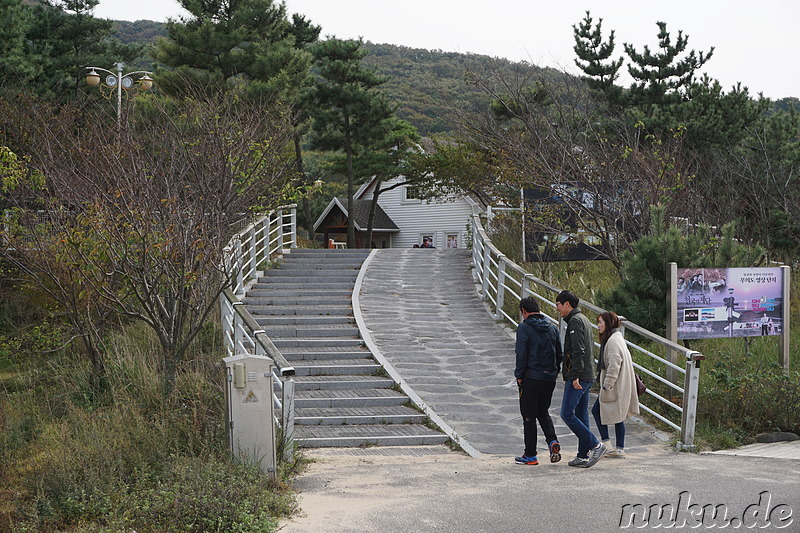 Hanagae Yuwonji (하나개 유원지) - Strand auf der Insel Muuido, Korea