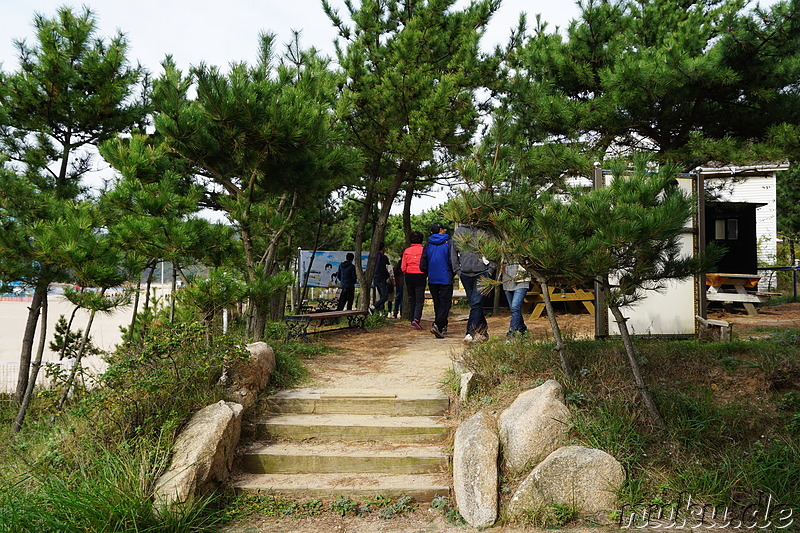 Hanagae Yuwonji (하나개 유원지) - Strand auf der Insel Muuido, Korea