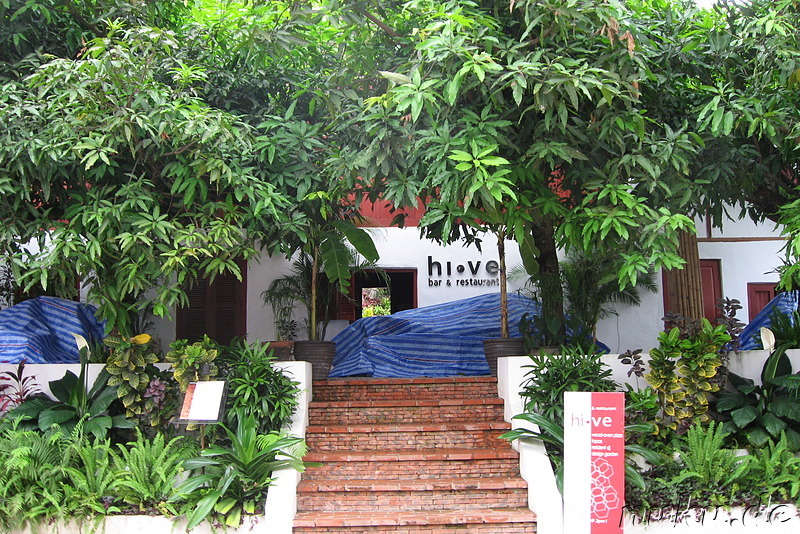Hive Bar in Luang Prabang