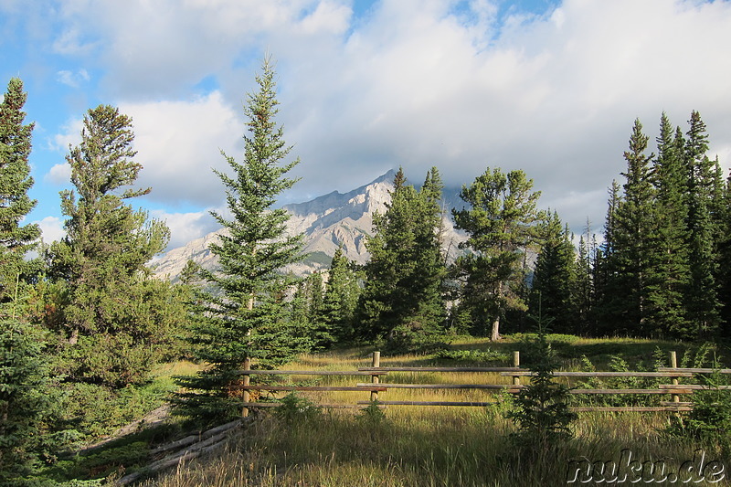 Hoodoos Trail - Wanderweg im Banff National Park in Alberta, Kanada