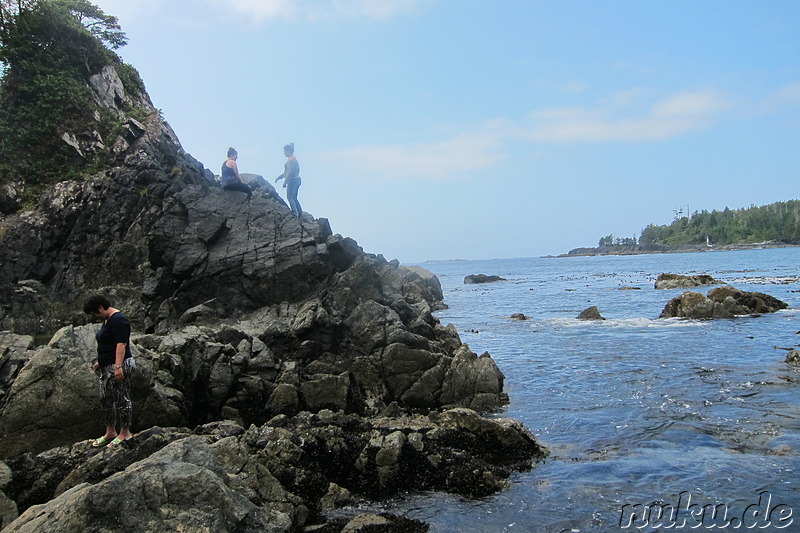 Hot Springs Cove - Heiße Quellen bei Tofino, Vancouver Island, Kanada