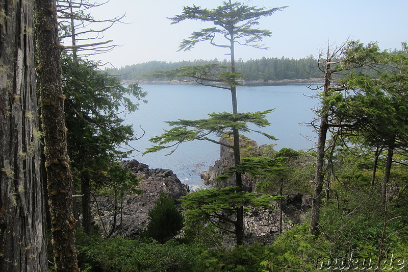 Hot Springs Cove - Heiße Quellen bei Tofino, Vancouver Island, Kanada