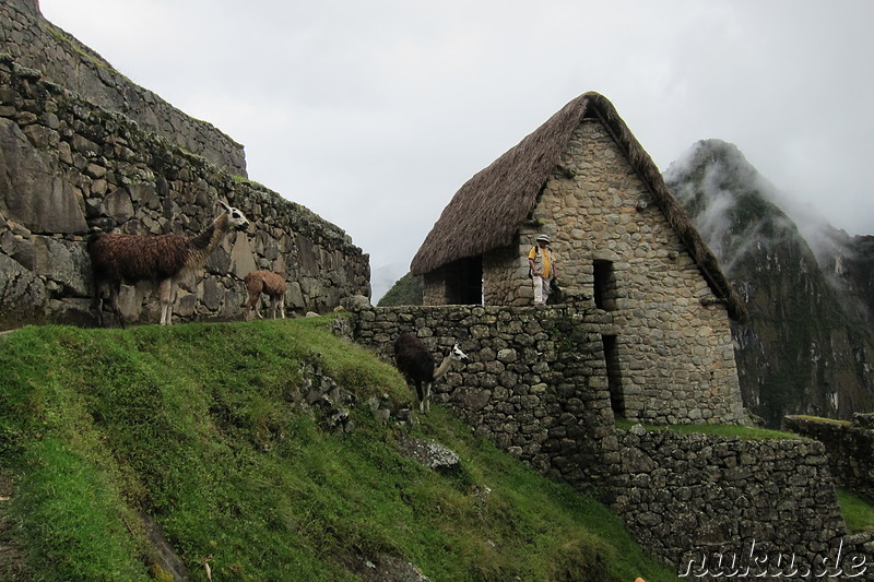 Hut of the Caretaker of the Funerary Rock, Machu Picchu, Peru