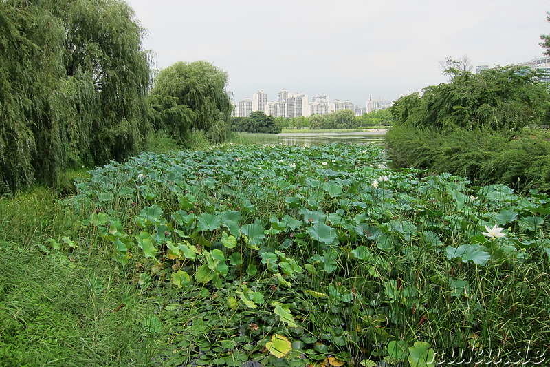 Ilsan Lake Park (일산호수공원), Gyeonggi-Do, Korea