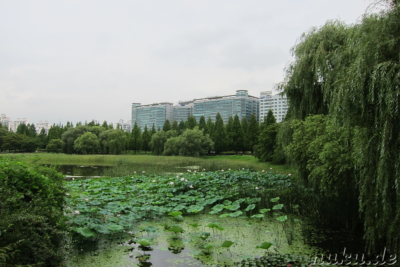 Ilsan Lake Park (일산호수공원), Gyeonggi-Do, Korea