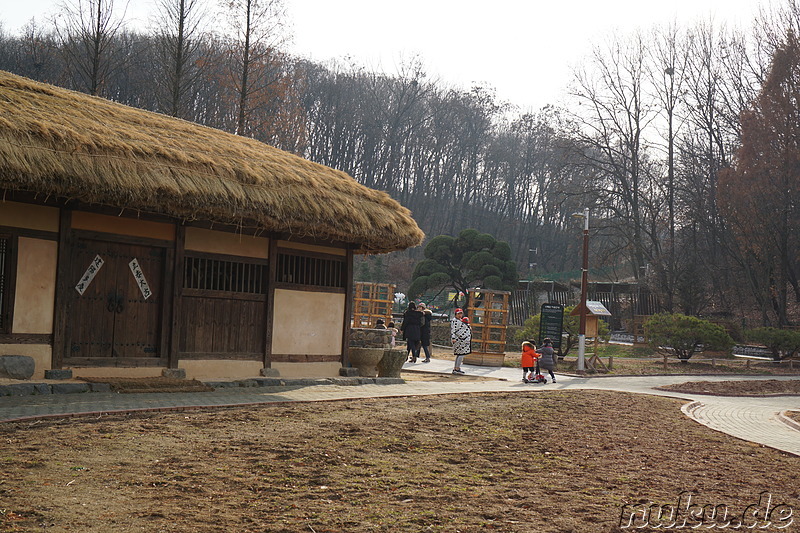 Im Bucheon Natural Ecology Park (부천자연생태공원) in Bucheon, Gyeonggi-do, Korea