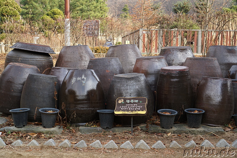 Im Bucheon Natural Ecology Park (부천자연생태공원) in Bucheon, Gyeonggi-do, Korea