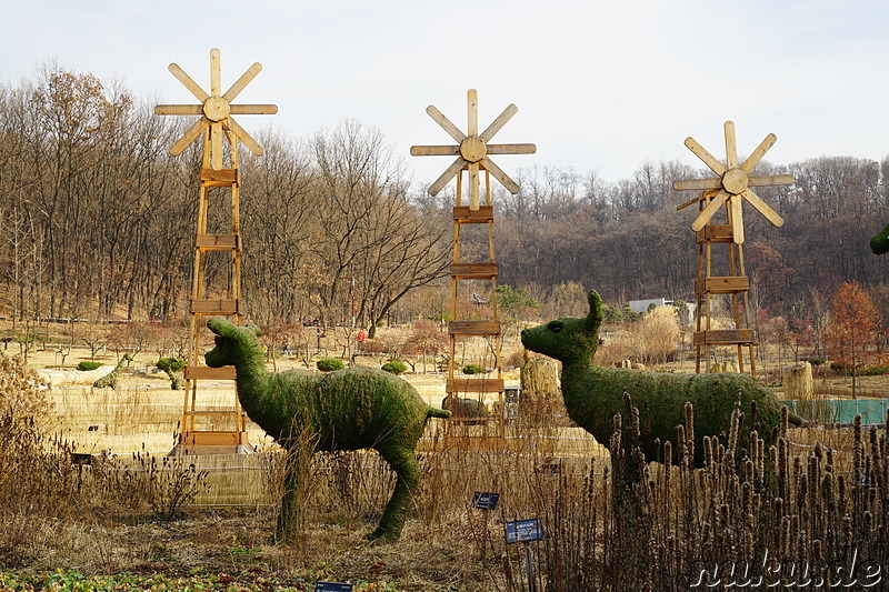 Im Bucheon Natural Ecology Park (부천자연생태공원) in Bucheon, Gyeonggi-do, Korea