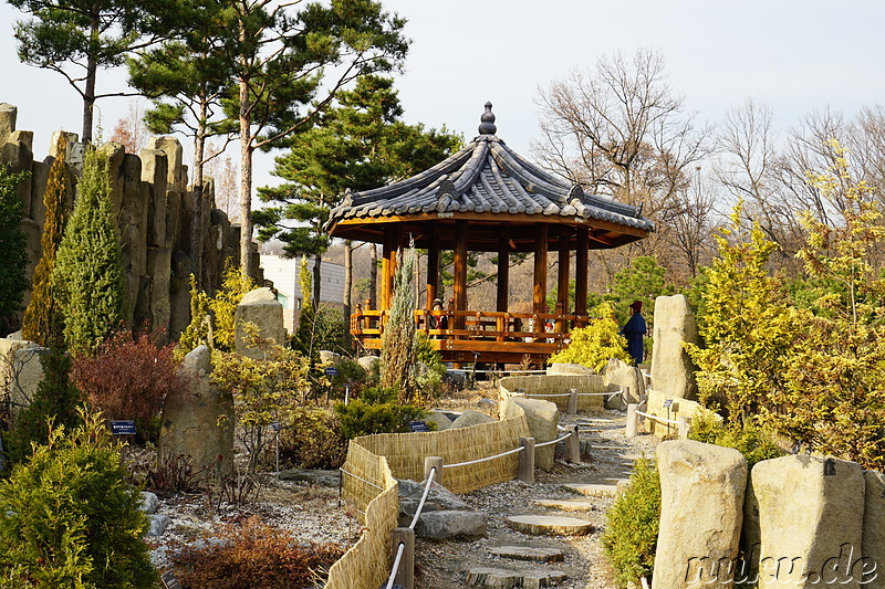 Im Bucheon Natural Ecology Park (부천자연생태공원) in Bucheon, Gyeonggi-do, Korea