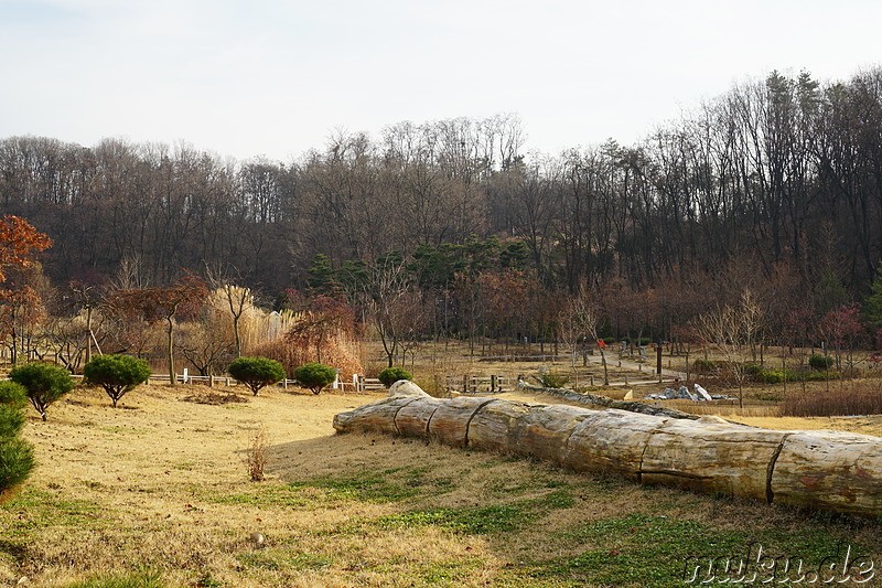 Im Bucheon Natural Ecology Park (부천자연생태공원) in Bucheon, Gyeonggi-do, Korea