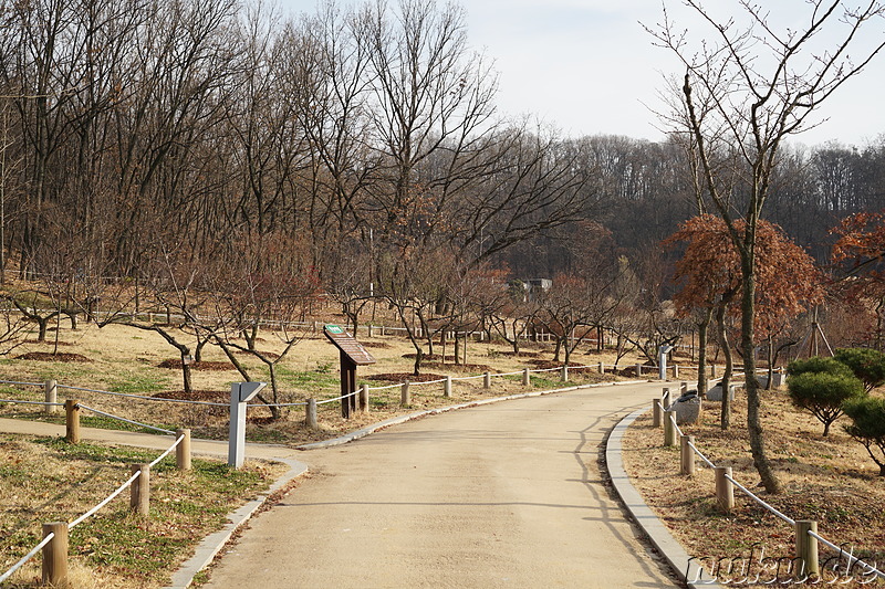 Im Bucheon Natural Ecology Park (부천자연생태공원) in Bucheon, Gyeonggi-do, Korea