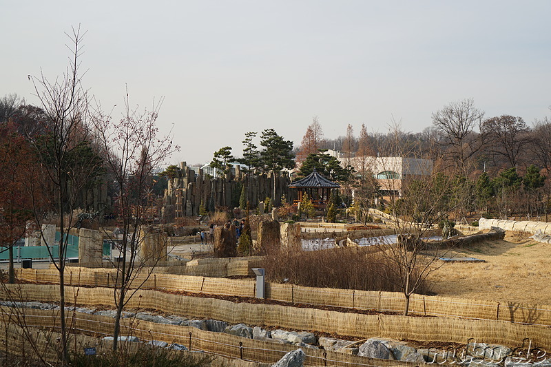 Im Bucheon Natural Ecology Park (부천자연생태공원) in Bucheon, Gyeonggi-do, Korea