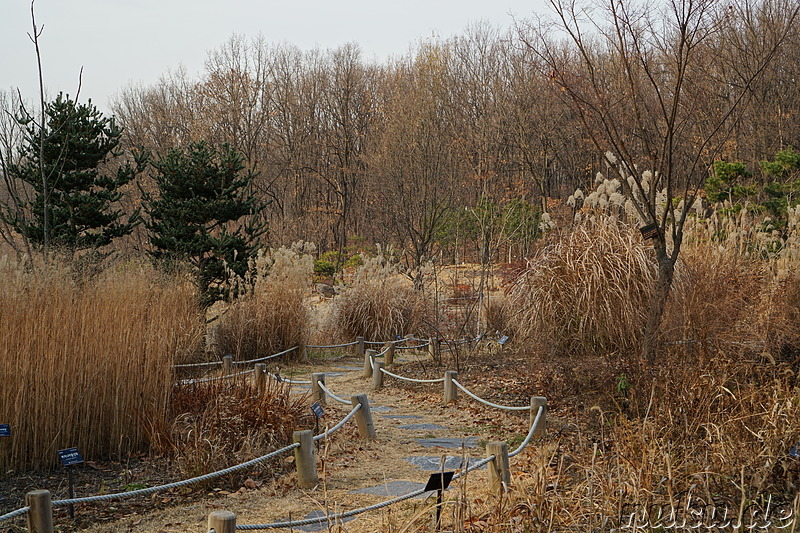 Im Bucheon Natural Ecology Park (부천자연생태공원) in Bucheon, Gyeonggi-do, Korea