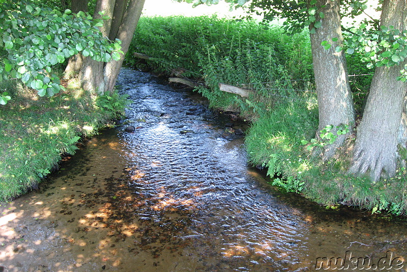 In der Lüneburger Heide (Döhle, Wilsede)