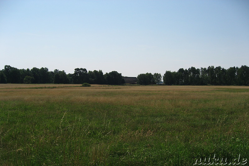 In der Lüneburger Heide (Döhle, Wilsede)