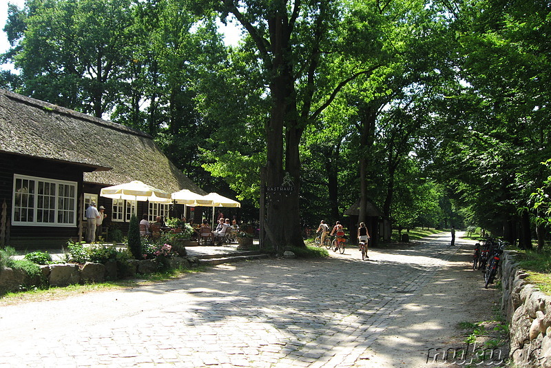 In der Lüneburger Heide (Döhle, Wilsede)