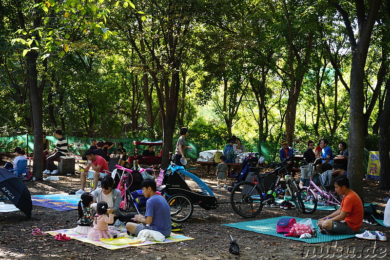 Incheon Grand Park (인천대공원) in Incheon, Korea