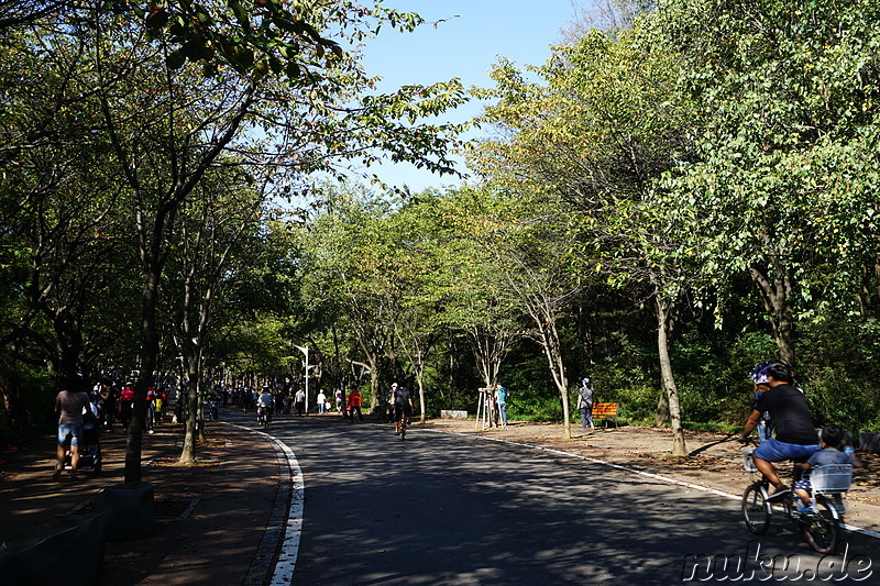 Incheon Grand Park (인천대공원) in Incheon, Korea