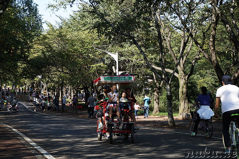 Incheon Grand Park (인천대공원) in Incheon, Korea