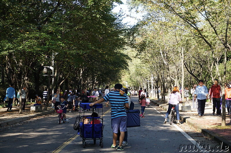 Incheon Grand Park (인천대공원) in Incheon, Korea