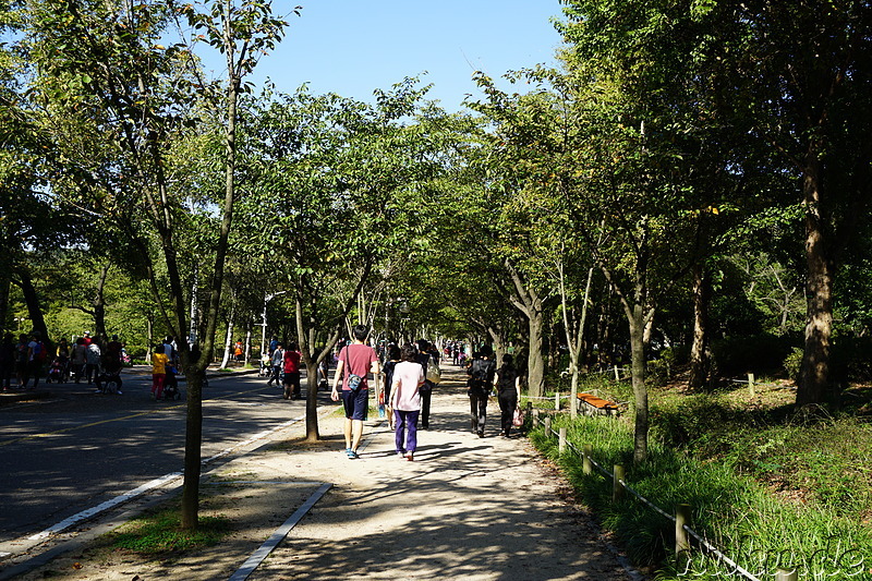 Incheon Grand Park (인천대공원) in Incheon, Korea