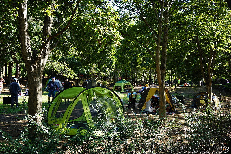 Incheon Grand Park (인천대공원) in Incheon, Korea