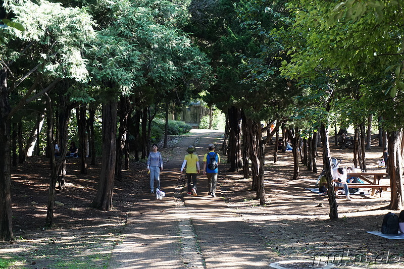 Incheon Grand Park (인천대공원) in Incheon, Korea