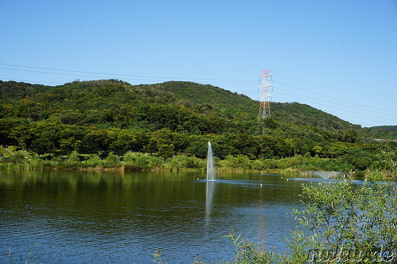 Incheon Grand Park (인천대공원) in Incheon, Korea